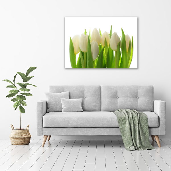 Foto auf Acryl Tulpen