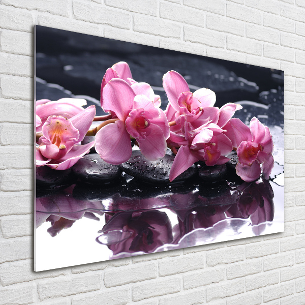 Bild auf Acrylglas Rosa Orchidee