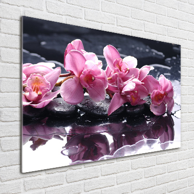 Bild auf Acrylglas Rosa Orchidee