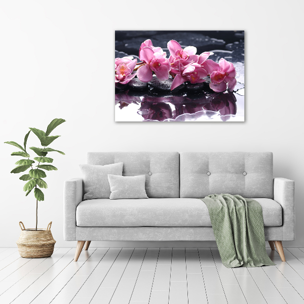Bild auf Acrylglas Rosa Orchidee