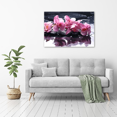 Bild auf Acrylglas Rosa Orchidee