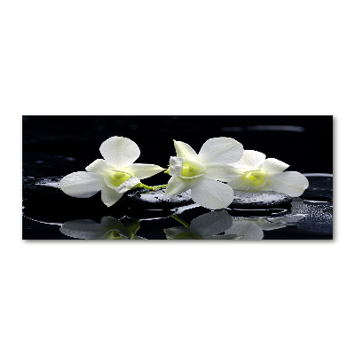 Acrylbild Fotodruck Orchidee