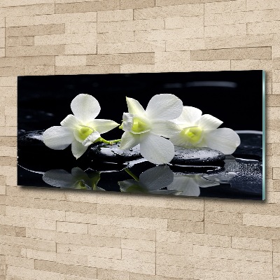 Acrylbild Fotodruck Orchidee