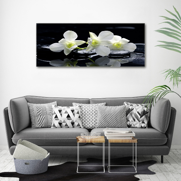 Acrylbild Fotodruck Orchidee
