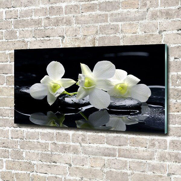 Acrylbild Fotodruck Orchidee