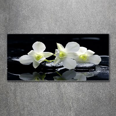 Acrylbild Fotodruck Orchidee