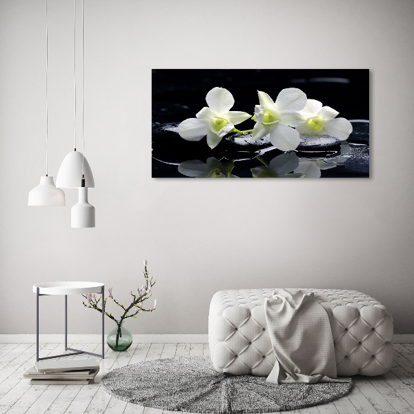 Acrylbild Fotodruck Orchidee