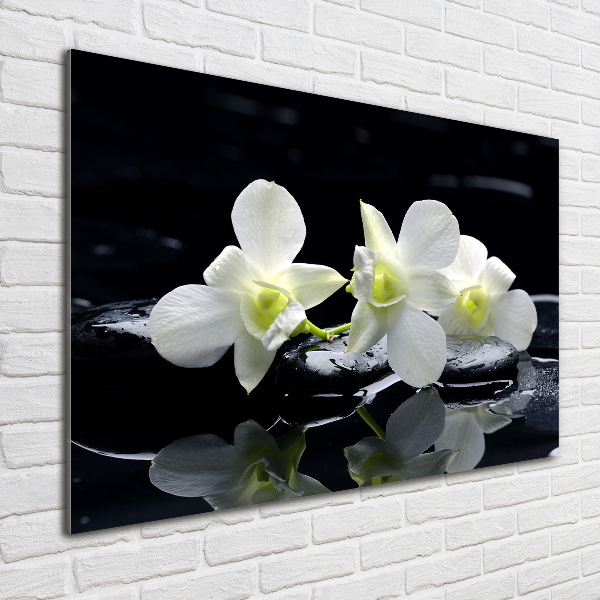 Acrylbild Fotodruck Orchidee