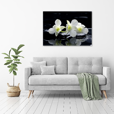 Acrylbild Fotodruck Orchidee