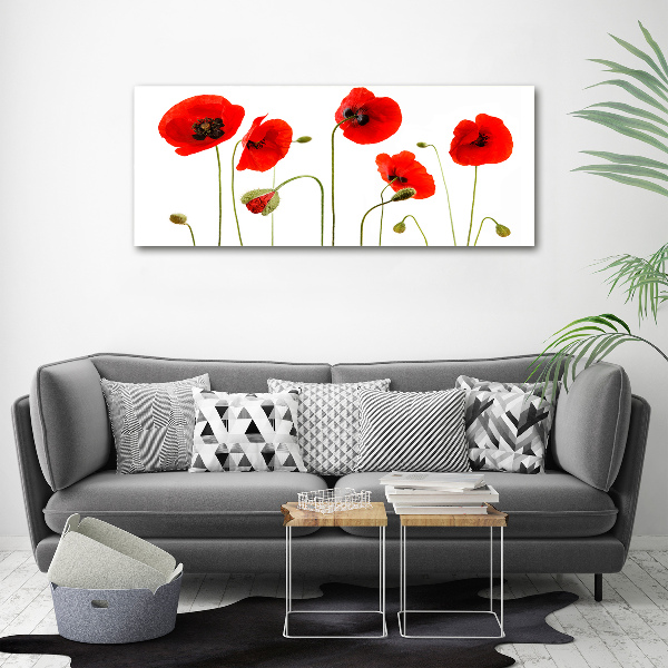 Foto auf Acryl Mohnblumen