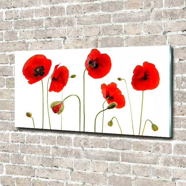 Foto auf Acryl Mohnblumen