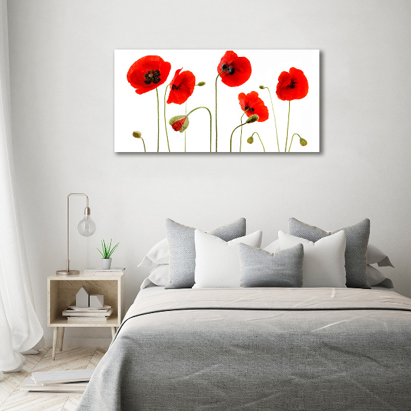 Foto auf Acryl Mohnblumen