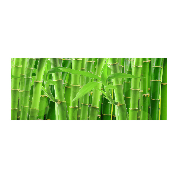 Bild auf Acrylglas Bambus