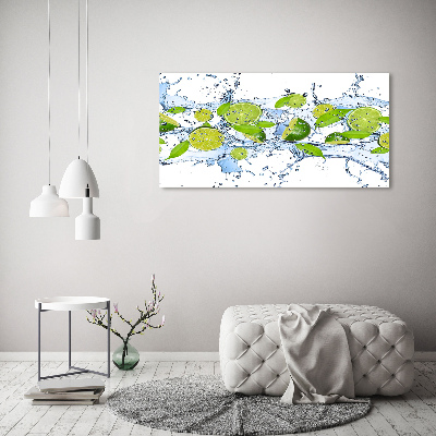 Acrylglas-Druck Limetten und Wasser