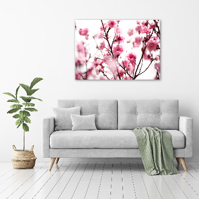 Acrylbild Fotodruck Pflaumenblüte