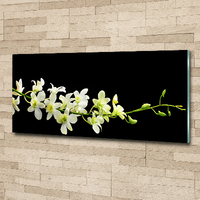 Acrylglas-Druck Orchidee