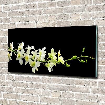 Acrylglas-Druck Orchidee