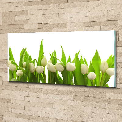 Foto auf Acryl Weiße Tulpen