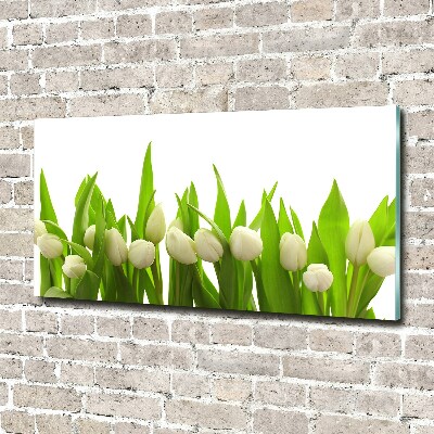 Foto auf Acryl Weiße Tulpen