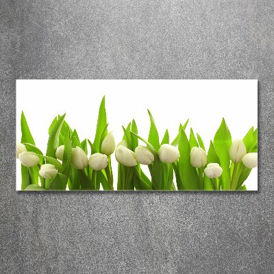 Foto auf Acryl Weiße Tulpen