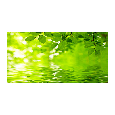 Acrylbild Fotodruck Grüne Blätter