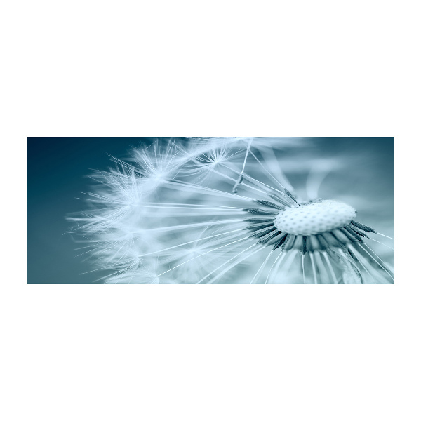 Acrylglas-Druck Löwenzahn