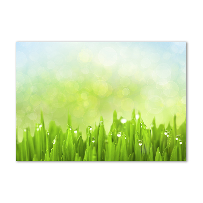 Foto auf Acryl Gras