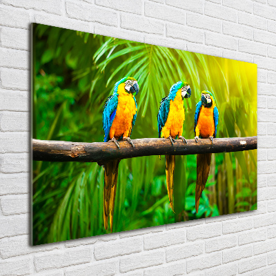 Foto auf Acryl Papageien auf einem Ast