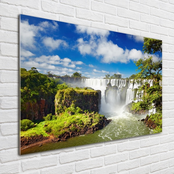 Foto auf Acryl Argentinischer Wasserfall