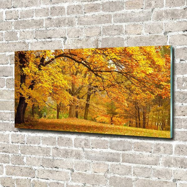 Bild auf Acrylglas Herbst im Park