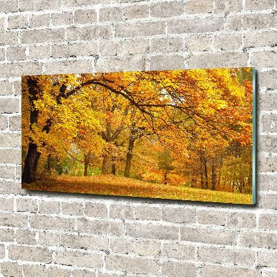 Bild auf Acrylglas Herbst im Park