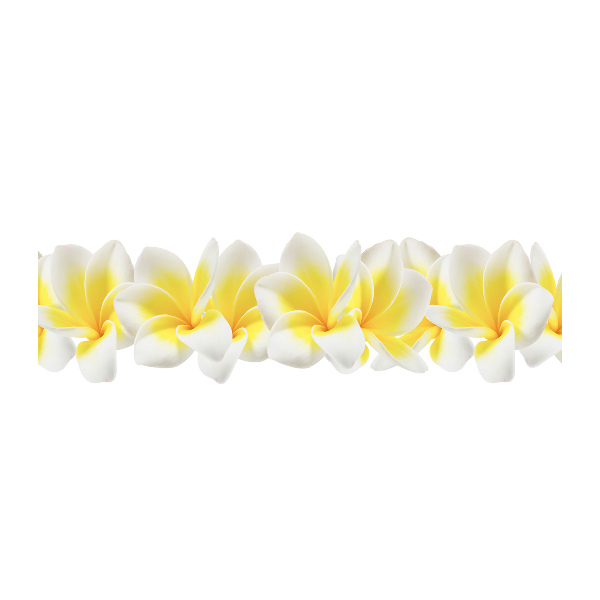 Acrylglas-Druck Plumeria