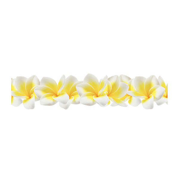 Acrylglas-Druck Plumeria