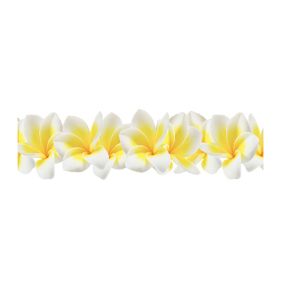Acrylglas-Druck Plumeria