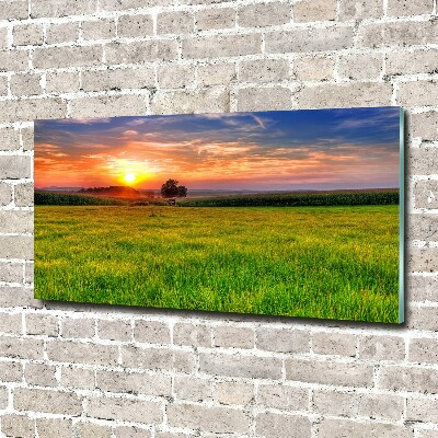 Acrylbild Fotodruck Sonnenuntergangswiese