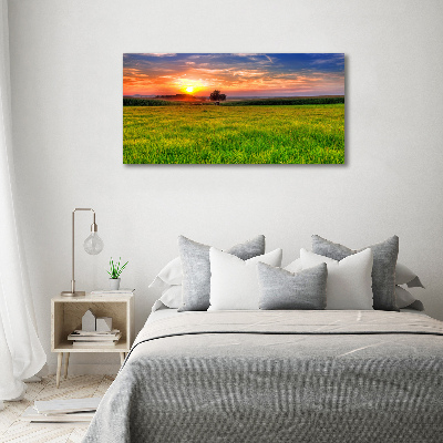 Acrylbild Fotodruck Sonnenuntergangswiese