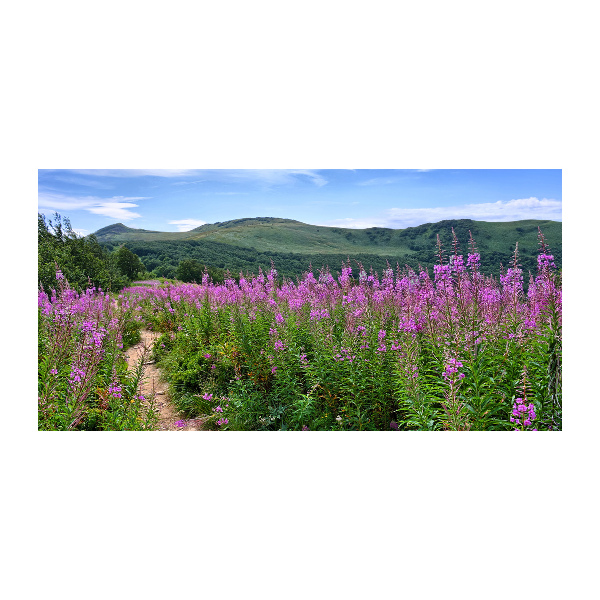 Acrylglas-Druck Grüne Hügel