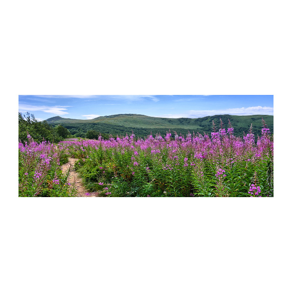 Acrylglas-Druck Grüne Hügel