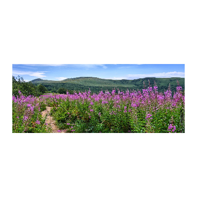 Acrylglas-Druck Grüne Hügel