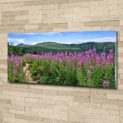 Acrylglas-Druck Grüne Hügel