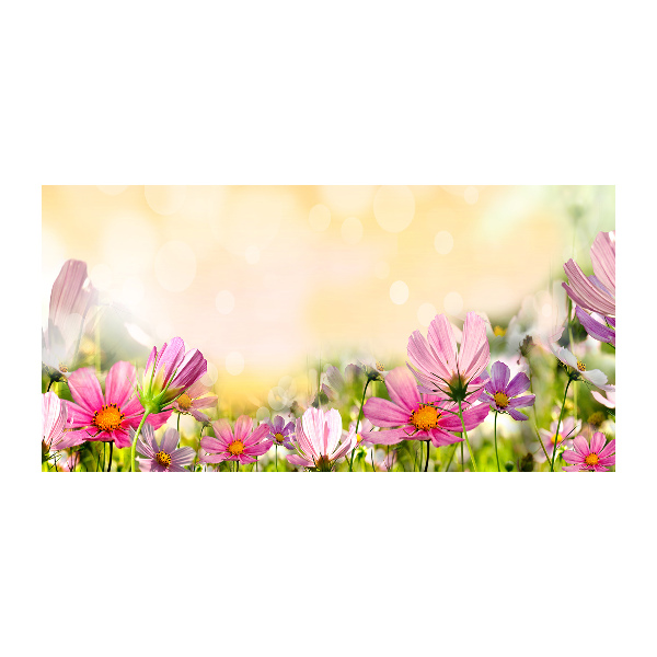 Acrylbild Fotodruck Mohnblumen