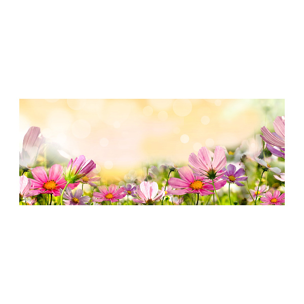 Acrylbild Fotodruck Mohnblumen