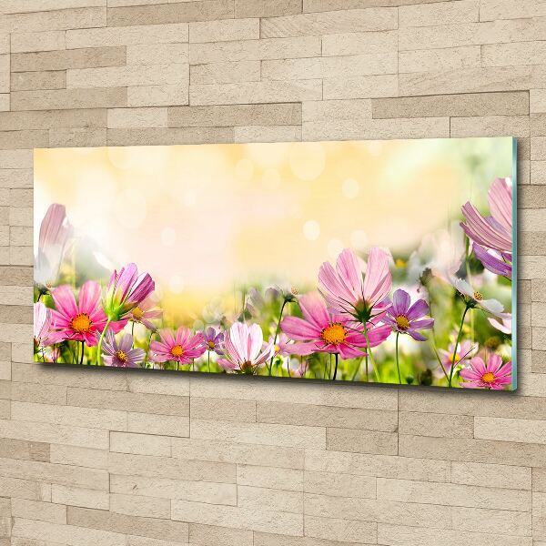 Acrylbild Fotodruck Mohnblumen