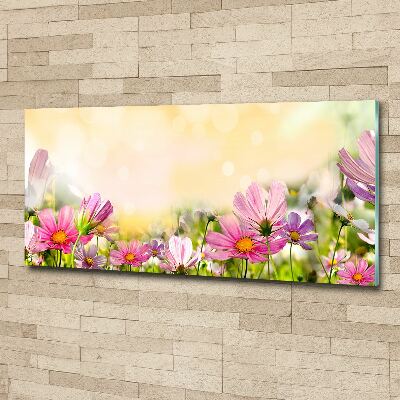 Acrylbild Fotodruck Mohnblumen