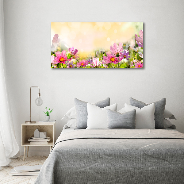 Acrylbild Fotodruck Mohnblumen