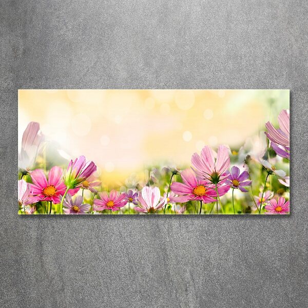 Acrylbild Fotodruck Mohnblumen