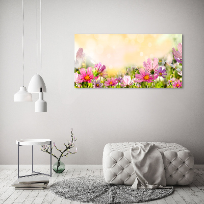 Acrylbild Fotodruck Mohnblumen