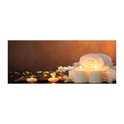 Acrylbild Fotodruck Biologische Regeneration