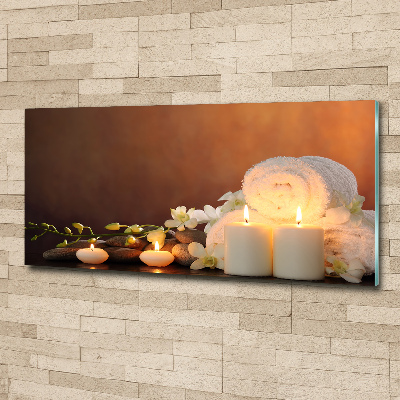 Acrylbild Fotodruck Biologische Regeneration