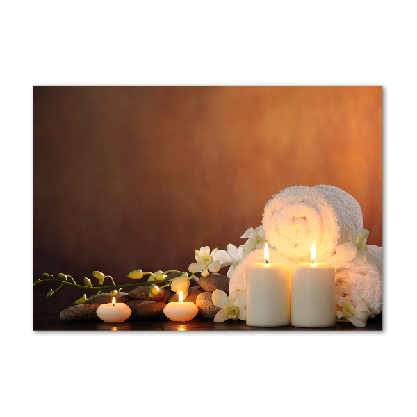 Acrylbild Fotodruck Biologische Regeneration